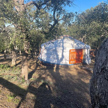 Au Soleil Mongol Bed & Breakfast Sorède Екстериор снимка