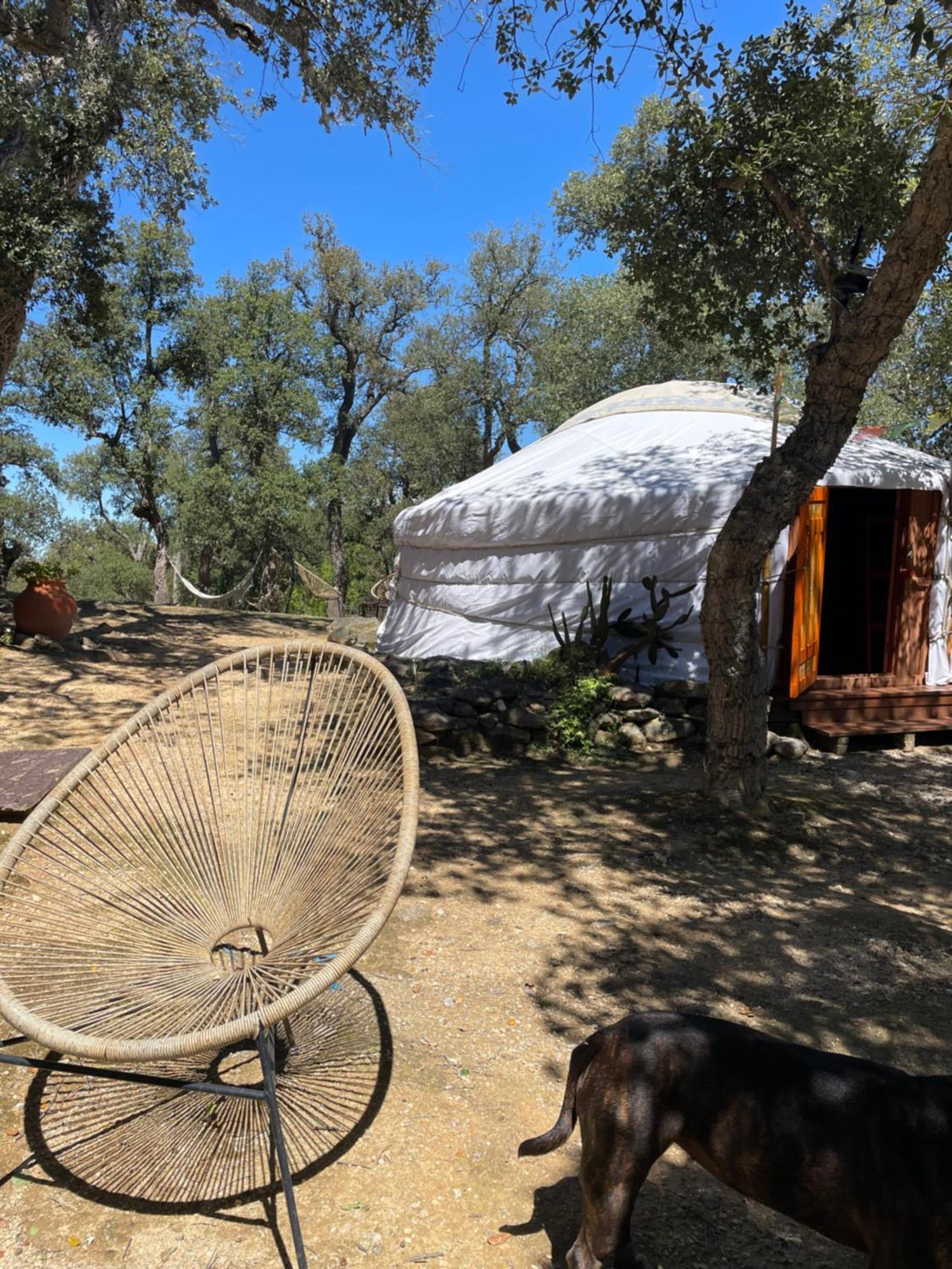 Au Soleil Mongol Bed & Breakfast Sorède Екстериор снимка