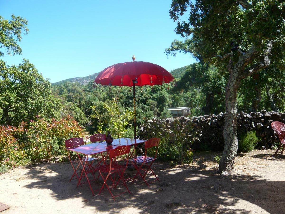 Au Soleil Mongol Bed & Breakfast Sorède Екстериор снимка